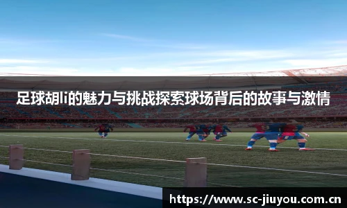 足球胡li的魅力与挑战探索球场背后的故事与激情